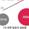 점점 ‘집밥’ 줄고 외식 늘어… 성인 31.5% ‘비만’