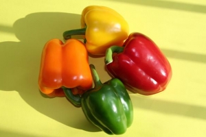 파프리카의 눈물