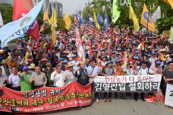 한국농축산연합회 농민들이 21일 서울 여의도 산업은행 앞에서 김영란법을 규탄하는 집회를 갖고 있다. 도준석 기자 pado@seoul.co.kr