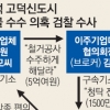[단독] 총리실 출신 공무원 평택 신도시 개발사업 뇌물 수수 연루 의혹