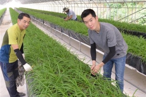 [新전원일기] 유학파 총각 삼삼한 삼채와 사랑에 빠지다