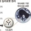 혈관으로 들어가 암세포 죽이는 마이크로 ‘킬러로봇’
