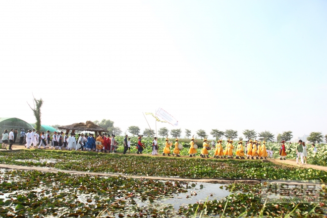 지난해 열린 ‘연성문화제’에서 조선시대 관료이자 농학자로 알려진 강희맹 선생의 연꽃 시배를 기리는 사신행렬이 연꽃이 만개한 관곡지 일대를 행진하고 있다. 시흥문화원 제공 