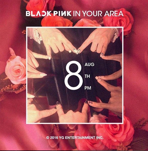 블랙핑크 8월 8일 데뷔 확정