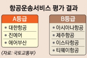 항공교통서비스  대한항공 A등급