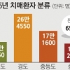 치매 대부분 경증인데 보험 95% 중증만 보장