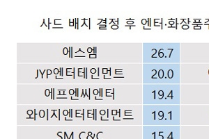 사드 배치 후폭풍 여파… 잘나가던 K컬처·K뷰티株 ‘날개 없는 추락’