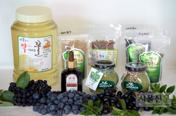 다믈농장에서 수확한 꿀과 가공식품, 생과실. 강성남 선임기자 snk@seoul.co.kr