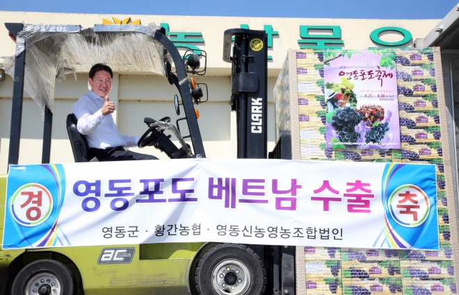 영동 포도 베트남 수출