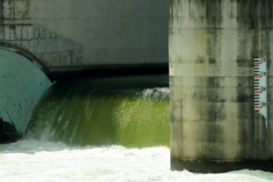 “녹조야 오지마라” 강정고령보 낙동강물 방류