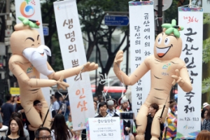 금산 인삼 축제, 새달 24일부터