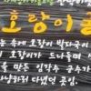 “군수가 청년시절 창 들고 사냥했던…” 수감 중인 군수 찬양 ‘용비어천가’ 안내판
