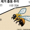 도심 외래종 ‘등검은말벌’ 활개…6·7월 벌퇴치 출동 58% 껑충