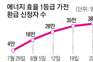 에너지 1등급 환급 신청 3주만에 37만명… 벌써 700억 ‘비상’