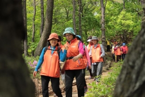 명품구로올레길 걸으며 치매예방