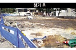 품격 있는 종로씨