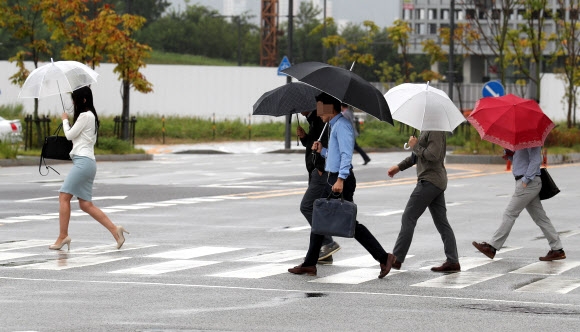 강한 바람과 함께 비가 내린 31일 오전 세종시 정부세종청사 부근에서 시민들이 우산을 쓰고 출근하고 있다.  연합뉴스