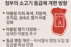 김영란법 앞에 꼬이는 소고기 등급제 개편