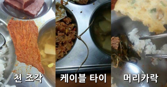 대전 D 고교 학생이 최근 한 인터넷커뮤니티에 올린 ‘모 고등학교 급식 실태’라는 글에서 공개한 학교급식 이물질 사진. 왼쪽은 묶음줄이고 오른쪽은 천조각이다. 인터넷 커뮤니티 캡처