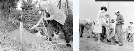 1959년 식목일 때 나무를 심는 이승만(왼쪽) 전 대통령과 1977년 박정희 전 대통령이 장녀인 박근혜 대통령과 함께 식수하는 모습. 서울신문 DB