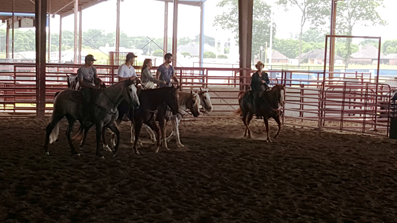 영화 ‘매그니피센트 7’ 스틸컷  