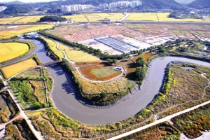 [우리동네 흥겨운 축제] 굽이굽이 갯벌사이 걸어보고…맹꽁이랑 저어새랑 눈 맞추고