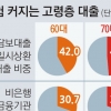숨은 뇌관 고령빚… 절반은 주담대 원금 만기 때 한번에 갚아야