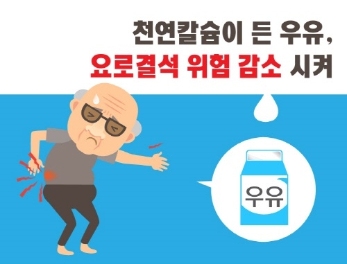 요로결석은 신장이나 방광 및 요도 등 소변이 지나가는 길에 돌이 생기는 병으로 심한 경우 신장을 들어내야 할 정도로 무서운 질환이다. 연구 결과에 따르면 요로결석을 예방하기 위해서는 칼슘 섭취가 필요하다.