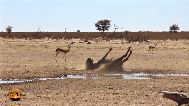‘너 괜찮니?’ 누의 과격한 몸부림
