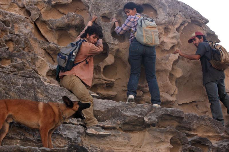 <새영화> 사막에서 살아남기 위한 추격전 '디시에르토' 예고편