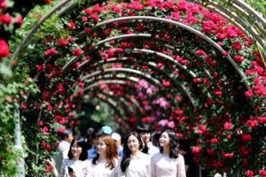 서울 중랑구 대표 축제,  ‘장미축제’ 국가대표를 꿈꾼다