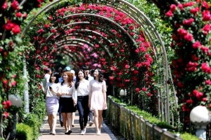 [형형색색 축제로 물드는 서울의 가을] 국가대표 꿈꾸는 ‘서울장미 축제’