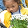 [서울포토]‘예쁘게 자라줘~’…국화꽃 화분 만들기 체험
