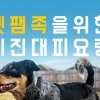 [카드뉴스]“지진나면 반려동물은 어떡하죠?” 펫팸족을 위한 지진대피 요령