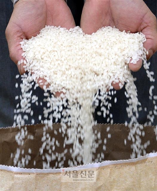 백학쌀닷컴의 방앗간에서 도정 작업이 끝나고 포장하기 직전의 쌀. 최해국 선임기자 seaworld@seoul.co.kr