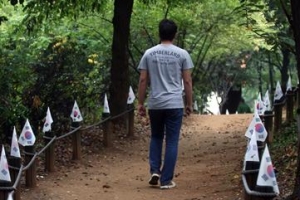 강남구 개천절·한글날 태극기 달기 캠페인