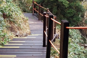 한라산 정상 등반 관음사 탐방로 10월1일 재개방