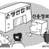[경제 블로그] 은행聯에 둥지 트는 신용정보원