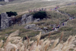 울산 산상 음악축제 울주오디세이 23일 개최