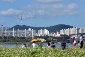 뽀얀 메밀꽃, 파란 가을 하늘