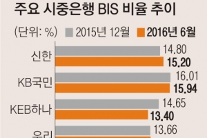 DTI는 놔두고… 가계대출 전방위 옥죄는 금융당국