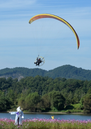 [서울포토] 꽃밭위에 사뿐히