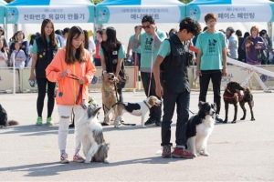 “멍멍~  주말엔 반려견과 즐겨요”