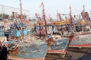 고속단정 침몰 닷새만에…백령도서 불법조업 중국어선 나포