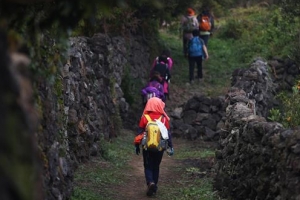 배낭 하나 둘러메고 꼬닥꼬닥 올레길… 제주 가을을 걷는다