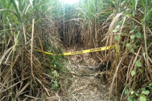 필리핀서 한인 3명 총격 피살, 40∼50대 남녀 3명…올해 6명째 피살(종합)