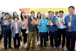 파주 인삼 향기, 60만 방문객 홀렸다