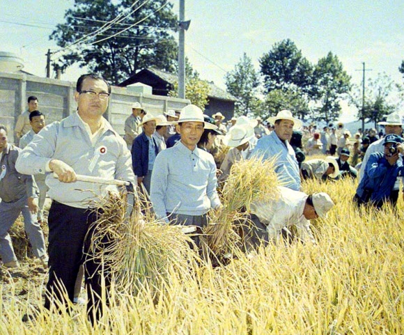 1971년 10월 당시 박정희(왼쪽 두 번째) 대통령이 충북 청원군 통일벼 시범단지에서 밀짚모자를 쓴 채 참모들과 벼베기에 참여하며 기념촬영을 하고 있다. 당시 박 대통령은 이 자리에서 “땀 흘린 농민들의 노고를 생각해서라도 쌀을 아끼고 혼식으로 식량 자급자족을 도와야 한다”고 말했다. 국가기록원 제공