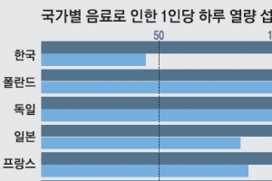 ‘뚱뚱한 한국’ 술 때문이야