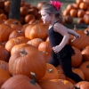 [포토] “핼러윈이 다가온다”…가득 쌓인 호박에 신난 꼬마